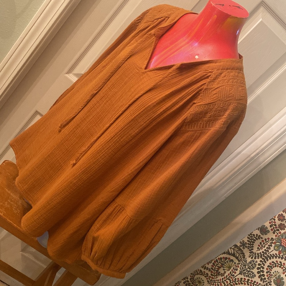 WONDERLY Rust V-Neck Blouse - Picture 5 of 12